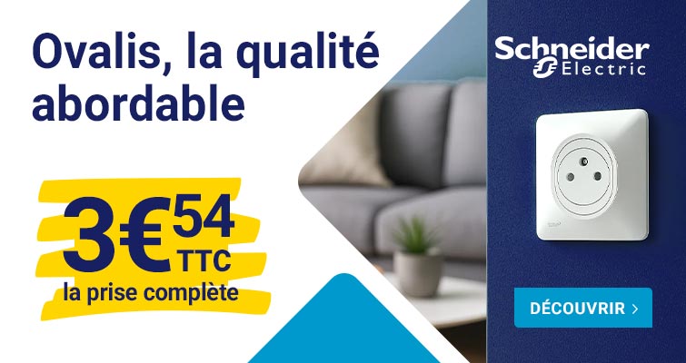 Prise Ovalis Schneider Electric