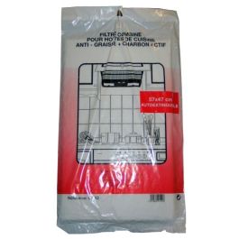 Lot de 2 filtres à charbon noir anti-odeur pour hotte de cuisine
