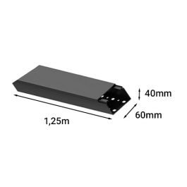 GGK Lot de 2 moulures électriques 40x60mm L.1,25m noir - WS10523