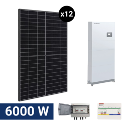 Kit solaire DMEGC avec 12 panneaux photovoltaïque 6000Wc + onduleur centralisé et batterie de stockage 10,24Kwh
