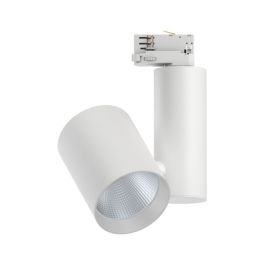 PAULMANN Spot LED sur rail PRORAIL3 ZEUZ dimmable 230V 33W 2860lm 3000K blanc - 91338