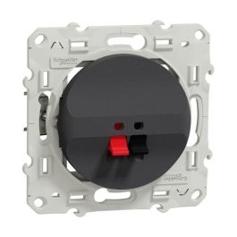 SCHNEIDER Odace Prise haut-parleur anthracite - S540487
