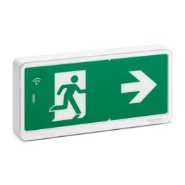 SCHNEIDER Bloc de secours Bi-fonction SATI LINK 8/45lm IP42 Exiway Light - OVA59430