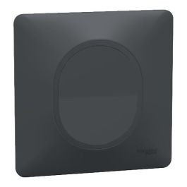 SCHNEIDER Ovalis Interrupteur va et vient anthracite complet