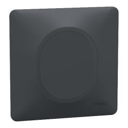 SCHNEIDER Ovalis Obturateur anthracite complet