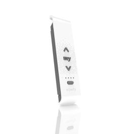 SOMFY Situo Télécommande bi-radio io et RTS 5 canaux - 1870479