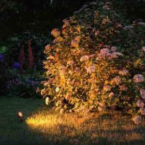 photo ambiance extérieure spot sur piquet Paulmann Plug&Shine