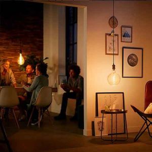 Ce cordon de suspension à douille dorée E27 pour puissance max.40W s'intègre discrètement dans votre intérieur pour mettre en valeur vos ampoules décoratives Philips.