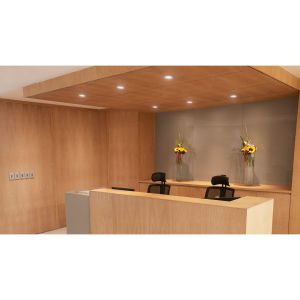 Spot LED Philips encastrable multi-température - photo ambiance accueil établissement