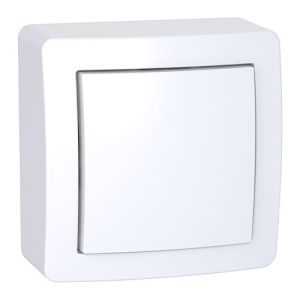 Obturateur complet saillie blanc Schneider Alréa