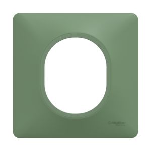 plaque de finition 1 poste Schneider Ovalis couleur vert forêt - vue de face