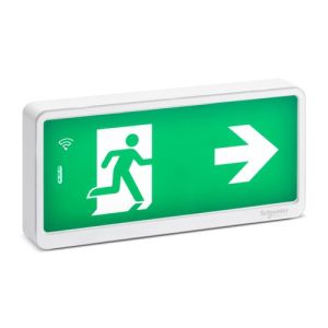 bloc de secours bifonction Schneider Exiway Light - allumé