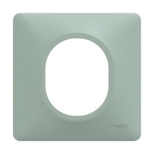 Plaque de finition 1 poste coloris sauge Schneider Ovalis - vue de face