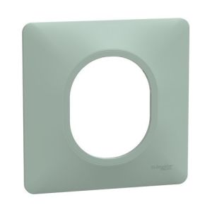 Plaque de finition 1 poste coloris sauge Schneider Ovalis