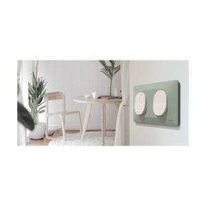 plaque de finition 2 postes schneider ovalis coloris sauge - photo ambiance