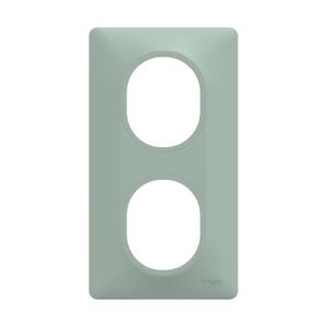 plaque de finition 2 postes vertical schneider ovalis coloris sauge - vue de face