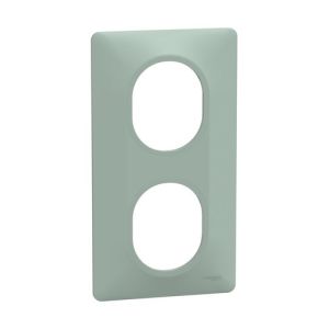 plaque de finition 2 postes vertical schneider ovalis coloris sauge - vue de profil