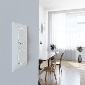 plaque de finition verticale 2 postes Schneider Ovalis blanc avec bague argent - photo ambiance intérieur