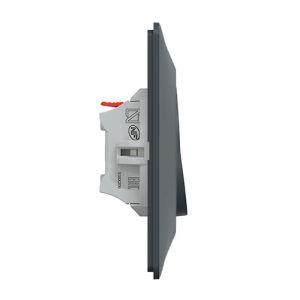 SCHNEIDER Ovalis interrupteur poussoir complet anthracite