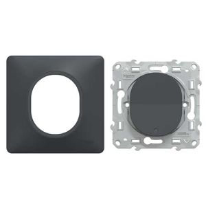 SCHNEIDER Ovalis va et vient lumineux complet anthracite