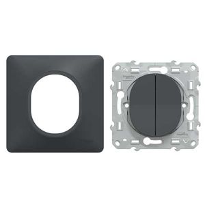 SCHNEIDER Ovalis Interrupteur va et vient + poussoir complet anthracite