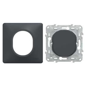 SCHNEIDER Ovalis Obturateur complet anthracite