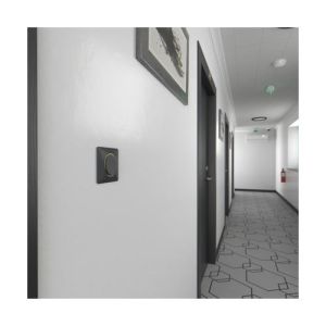 plaque de finition 1 poste schneider ovalis anthracite liseré laiton - photo ambiance couloir