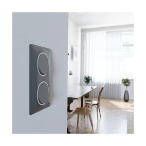 plaque de finition 2 postes vertical Schneider Ovalis coloris anthracite liseré argent - photo ambiance intérieur