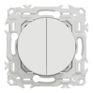 double interrupteur multifonctionnel Schneider Odace - vue de face
