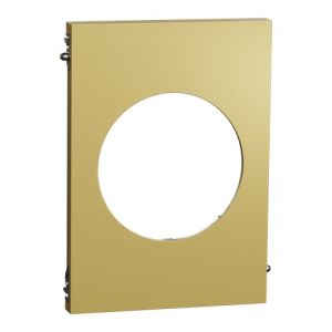 plaque de finition centrale Schneider Odace Architecte effet Laiton