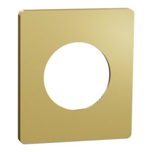 plaque de finition 1 poste Schneider Odace Architecte effet Laiton