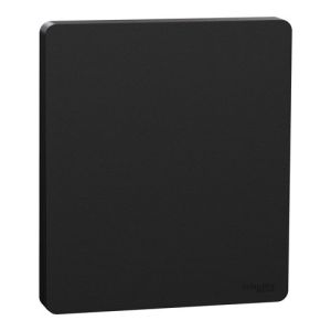 enjoliveur/plaque Schneider Odace Intégral Architecte noir mat