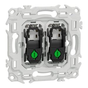 double interrupteur Schneider Odace