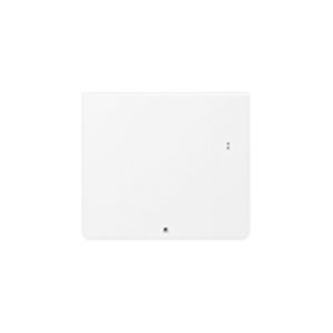 Radiateur connecté Thermor Equateur 5 coloris blanc mat 1000W