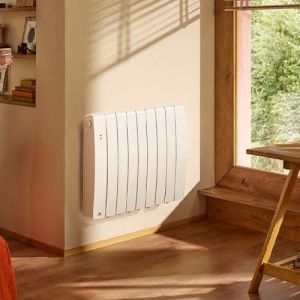 Radiateur connecté chaleur douce 1250W Thermor Bilbao 4