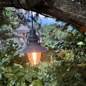 Suspension LED 250lm rechargeable USB Watt & Home