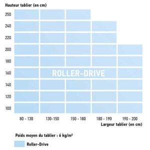 SOMFY Roller-Drive Kit de remplacement de motorisation