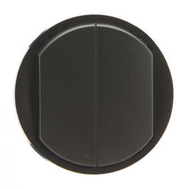 LEGRAND Placca Per Interruttore, Colore Grafite, Modello 067902, Qualità Affidabile