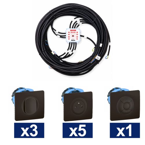 KEO Kit pieuvre électrique salon et séjour LEGRAND Céliane noir - 3 inter. + 5 prises 2P+T + 1 VR ou convecteur + 2 DCL