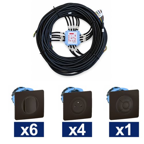 KEO Kit pieuvre électrique suite parentale LEGRAND Céliane noir - 6 inter. + 4 prises 2P+T + 1 VR + 4 DCL + 2 sorties de câble