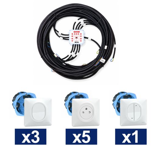 KEO Kit pieuvre électrique salon et séjour SCHNEIDER Ovalis blanc - 3 inter. + 5 prises 2P+T + 1 VR ou convecteur + 2 DCL