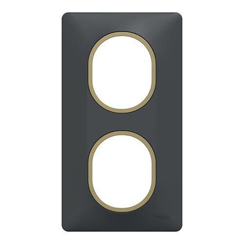 plaque de finition vertical 2 postes Schneider Ovalis anthracite avec bague couleur laiton - vue de face