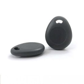 PHILIPS Badge RFID WelcomEye tag - Lot de 2 - 531011