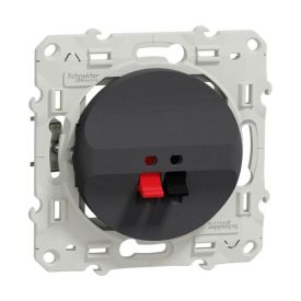 SCHNEIDER Odace Prise haut-parleur anthracite - S540487