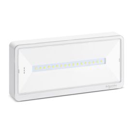 SCHNEIDER BAEH d'évacuation SATI 45lm IP42 Exiway light - OVA59210