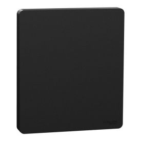 SCHNEIDER Odace Integral Architecte Enjoliveur pour va et vient/bouton poussoir/plaque simple noir onyx - S949223