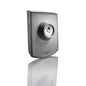 Commande à clé pour motorisation portail et porte de garage SOMFY - 2400597