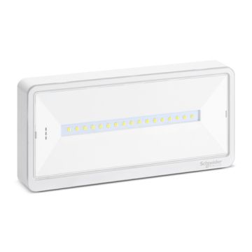 SCHNEIDER BAEH d'évacuation SATI 45lm IP42 Exiway light - OVA59210