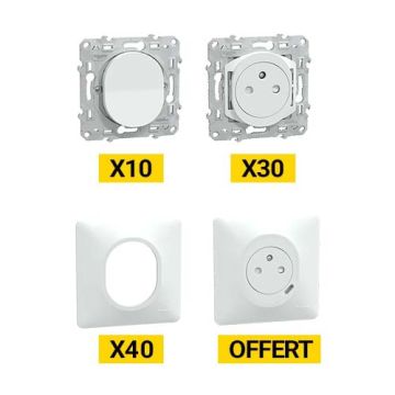 SCHNEIDER Ovalis ProBox 40 plaques simples + 30 prises + 10 VV + 1 prise affleurante avec USB C blanc - PFRB05