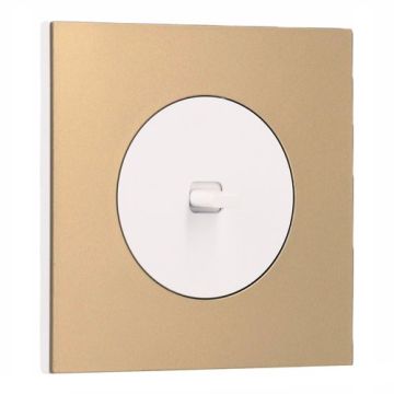 SCHNEIDER Odace Interrupteur va et vient/bouton poussoir à levier blanc craie et plaque simple laiton